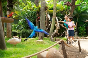 Tips Memilih Tempat Wisata Ramah Bayi dan Balita yang Aman